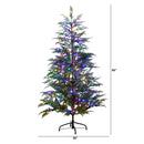 5’ Pre-Lit Artificial Park City Pine Christmas Tree with 200 Multicolored LED Dewdrop Lights