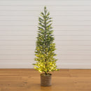 5’ Pre-Lit Artificial Snowed Cypress Christmas Tree with 140 LED Lights in Hyacinth Basket