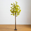 5' Pre-Lit Green Autumn Oak Artificial Fall Tree with 200 Warm White LED Lights
