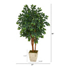 5’ Sakaki Artificial Tree in Country White Planter