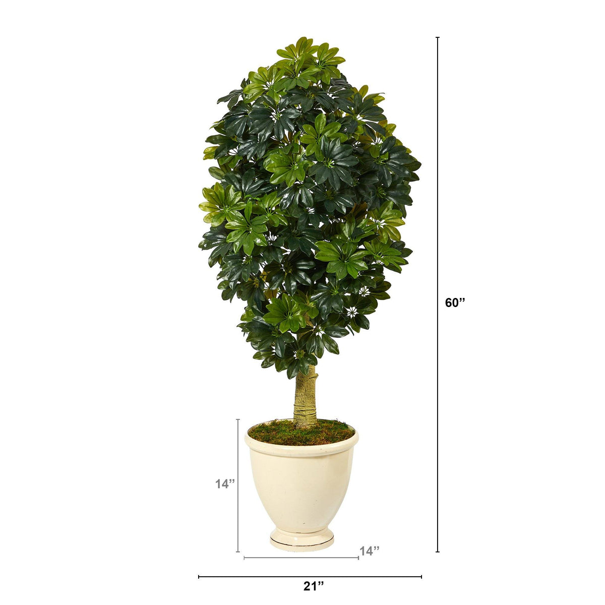 5' Schefflera Artificial Tree in Decorative Urn (Real Touch), photo 2 of 4