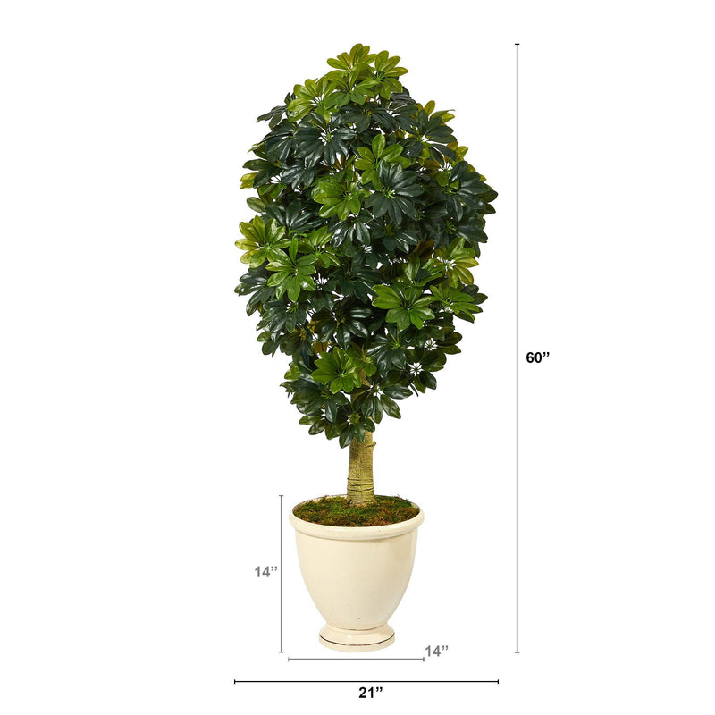 5' Schefflera Artificial Tree in Decorative Urn (Real Touch), photo 2 of 4