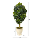 5' Schefflera Artificial Tree in Decorative Urn (Real Touch)