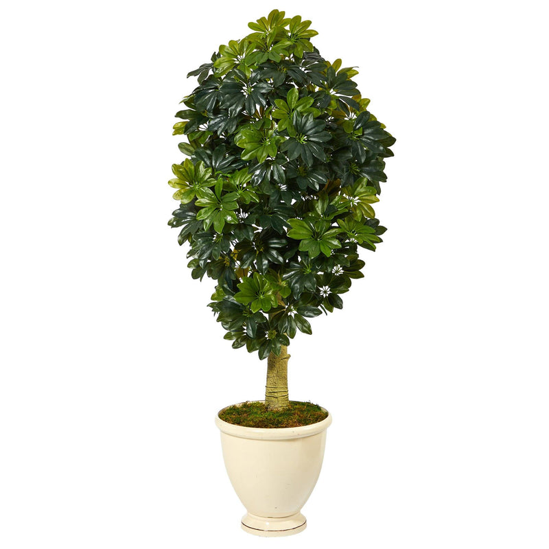 5' Schefflera Artificial Tree in Decorative Urn (Real Touch)