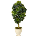 5' Schefflera Artificial Tree in Decorative Urn (Real Touch)