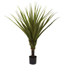 5' Spiked Agave Tree