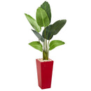 5’ Travelers Artificial Palm Tree in Red Planter