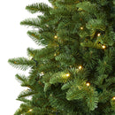 5’ Wyoming Fir Artificial Christmas Tree with 250 Clear LED Lights and 630 Bendable Branches