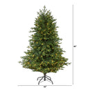 5’ Wyoming Spruce Artificial Christmas Tree with 300 Clear LED Lights and 773 Bendable Branches