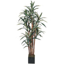 5' Yucca Silk Tree