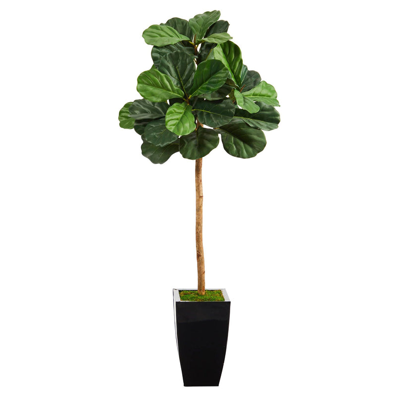 50” Fiddle Leaf Artificial Tree in Black Metal Planter