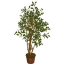 51” Ficus Artificial Tree in Coiled Rope Planter