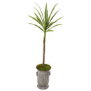 51” Yucca Artificial Plant in Vintage Metal Planter