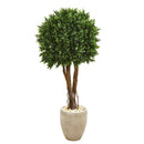 52” Boxwood Artificial Topiary Tree in Planter (Indoor/Outdoor)