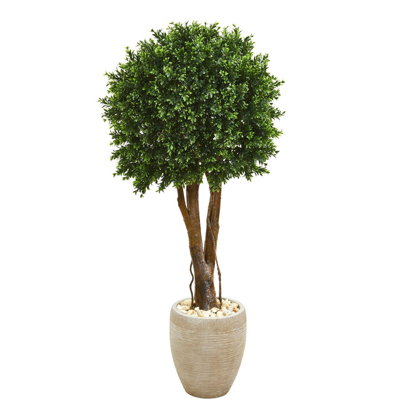 52” Boxwood Artificial Topiary Tree in Planter (Indoor/Outdoor)