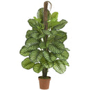 52" Calathea Silk Plant (Real Touch)"