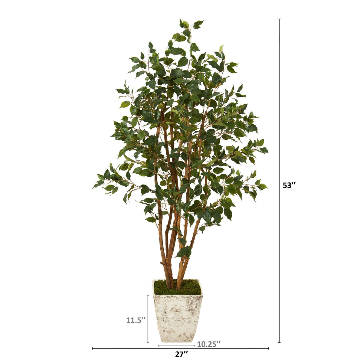 53” Ficus Artificial Tree in Country White Planter, photo 2 of 2