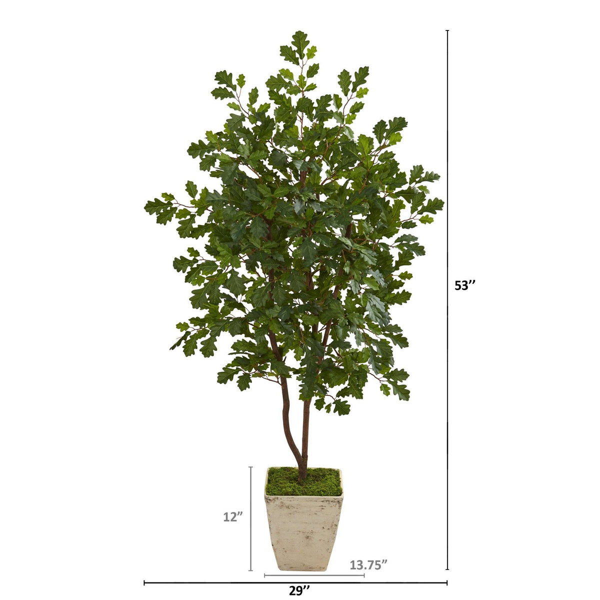 53” Oak Artificial Tree in Country White Planter, photo 2 of 2