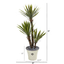 53” Yucca Artificial Tree in Decorative Planter
