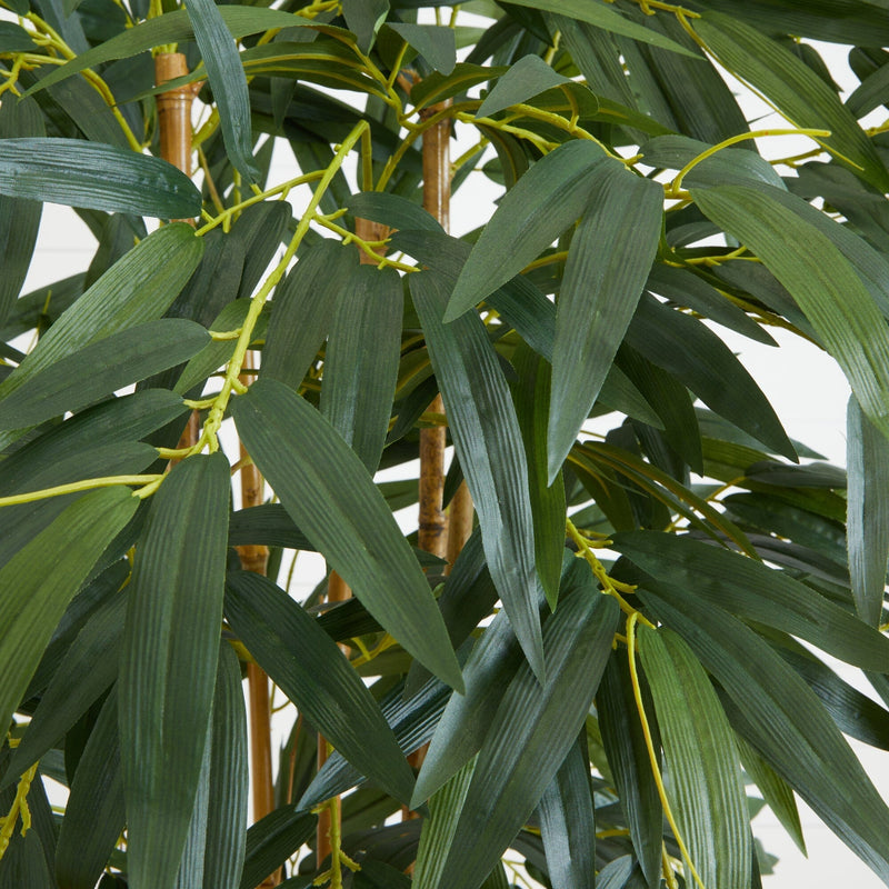 5.5’ Bamboo Tree in Gray Cylinder Planter