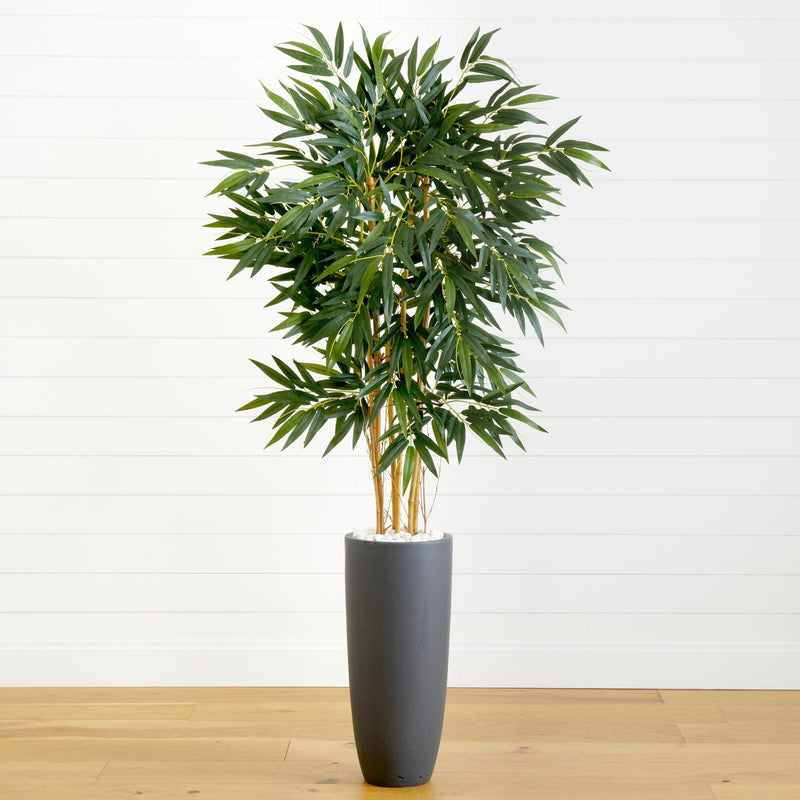 5.5’ Bamboo Tree in Gray Cylinder Planter