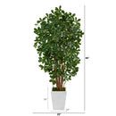5.5’ Black Olive Artificial Tree with 1365 Bendable Leaves in Metal White Planter