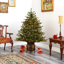5.5’ Colorado Mountain Pine Artificial Christmas Tree with 250 Clear Lights, 669 Bendable Branches and Pine Cones in Decorative Planter