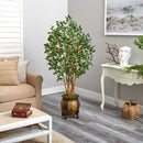 5.5' Ficus Bushy Artificial Tree in Decorative Planter