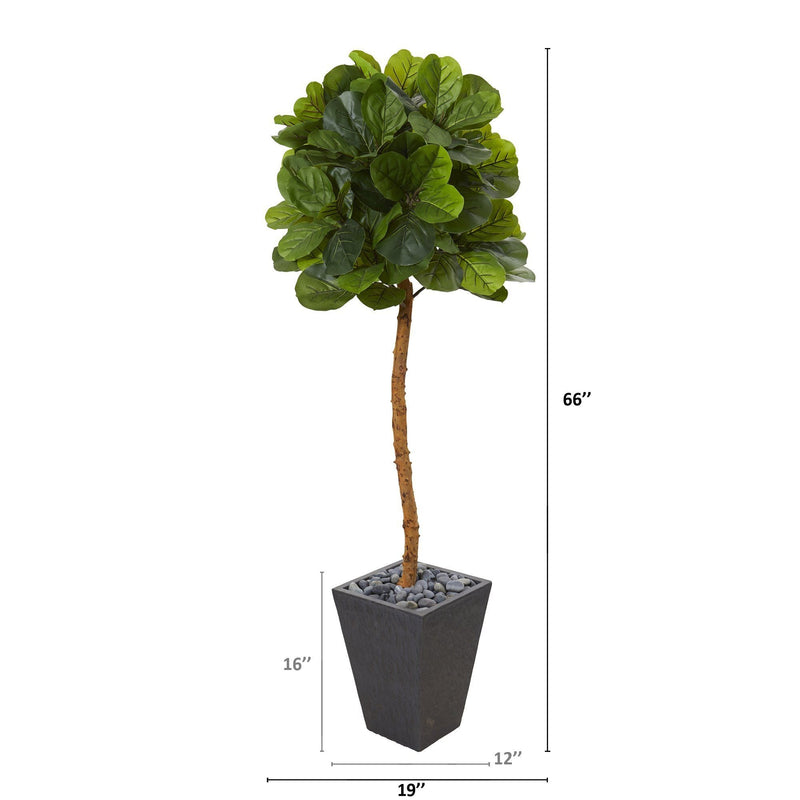 5.5’ Fiddle Leaf Artificial Tree in Slate Planter (Real Touch), photo 2 of 2