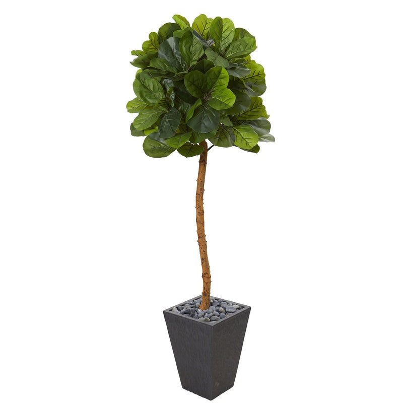 5.5’ Fiddle Leaf Artificial Tree in Slate Planter (Real Touch)