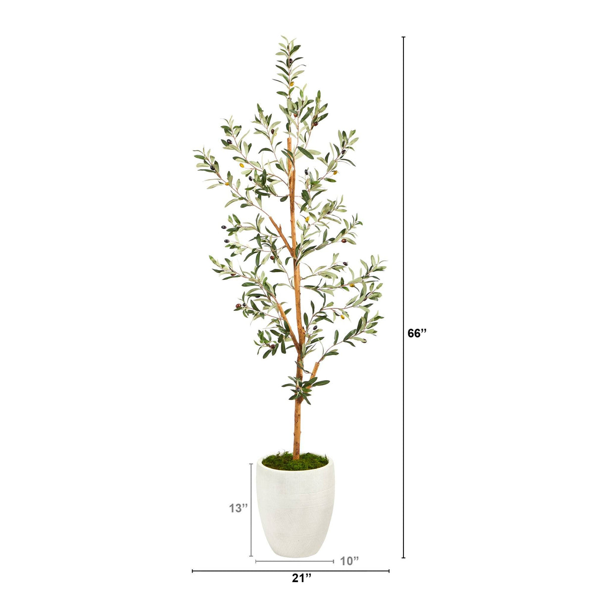 5.5’ Olive Artificial Tree in White Planter, photo 2 of 4