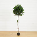 5.5’ Olive Topiary Artificial Tree UV Resistant (Indoor/Outdoor)
