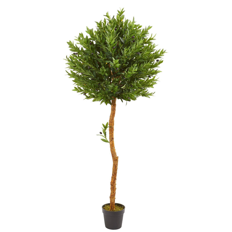 5.5’ Olive Topiary Artificial Tree UV Resistant (Indoor/Outdoor), photo 3 of 15