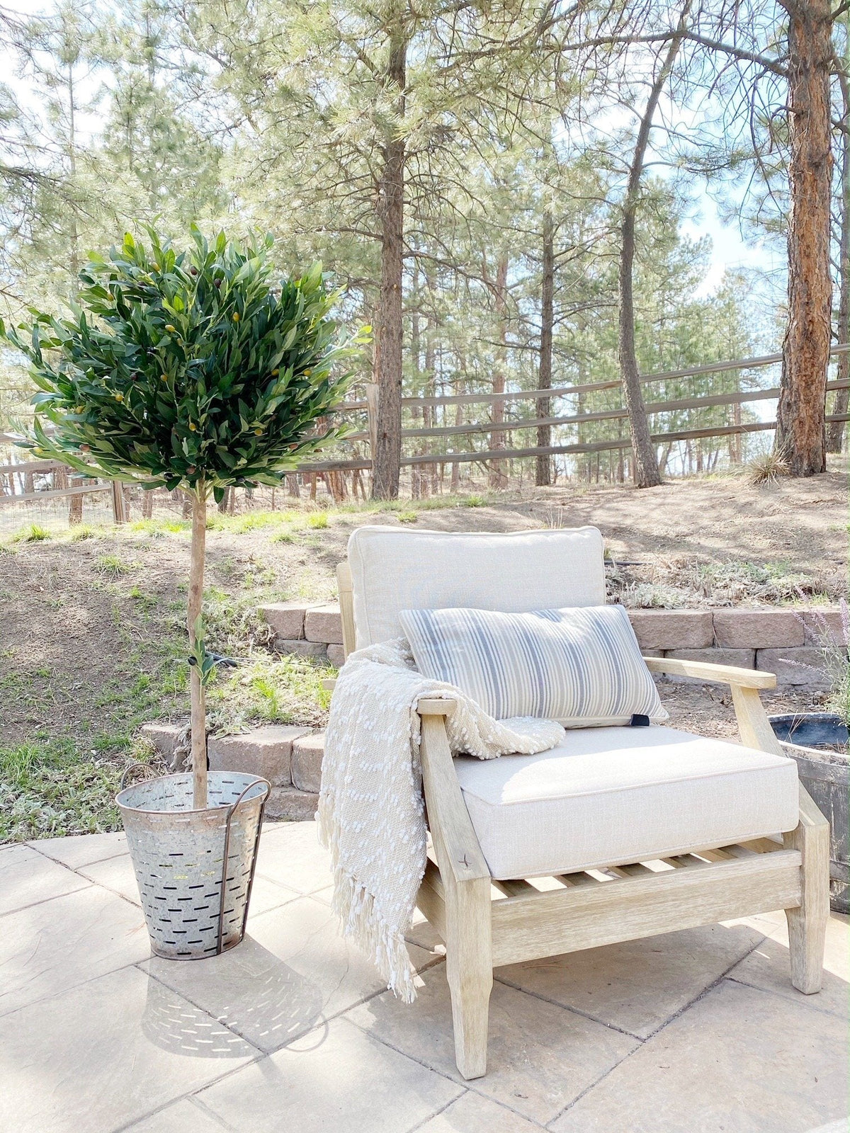 5.5’ Olive Topiary Artificial Tree UV Resistant (Indoor/Outdoor), photo 6 of 15
