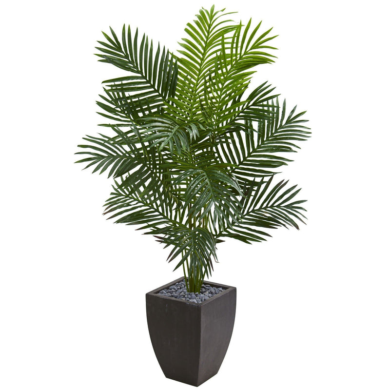 5.5’ Paradise Artificial Palm Tree in Black Planter, photo 3 of 3