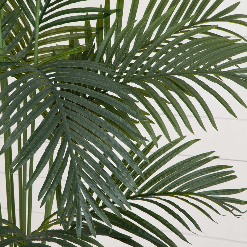 5.5’ Paradise Artificial Palm Tree in Black Planter, photo 2 of 3