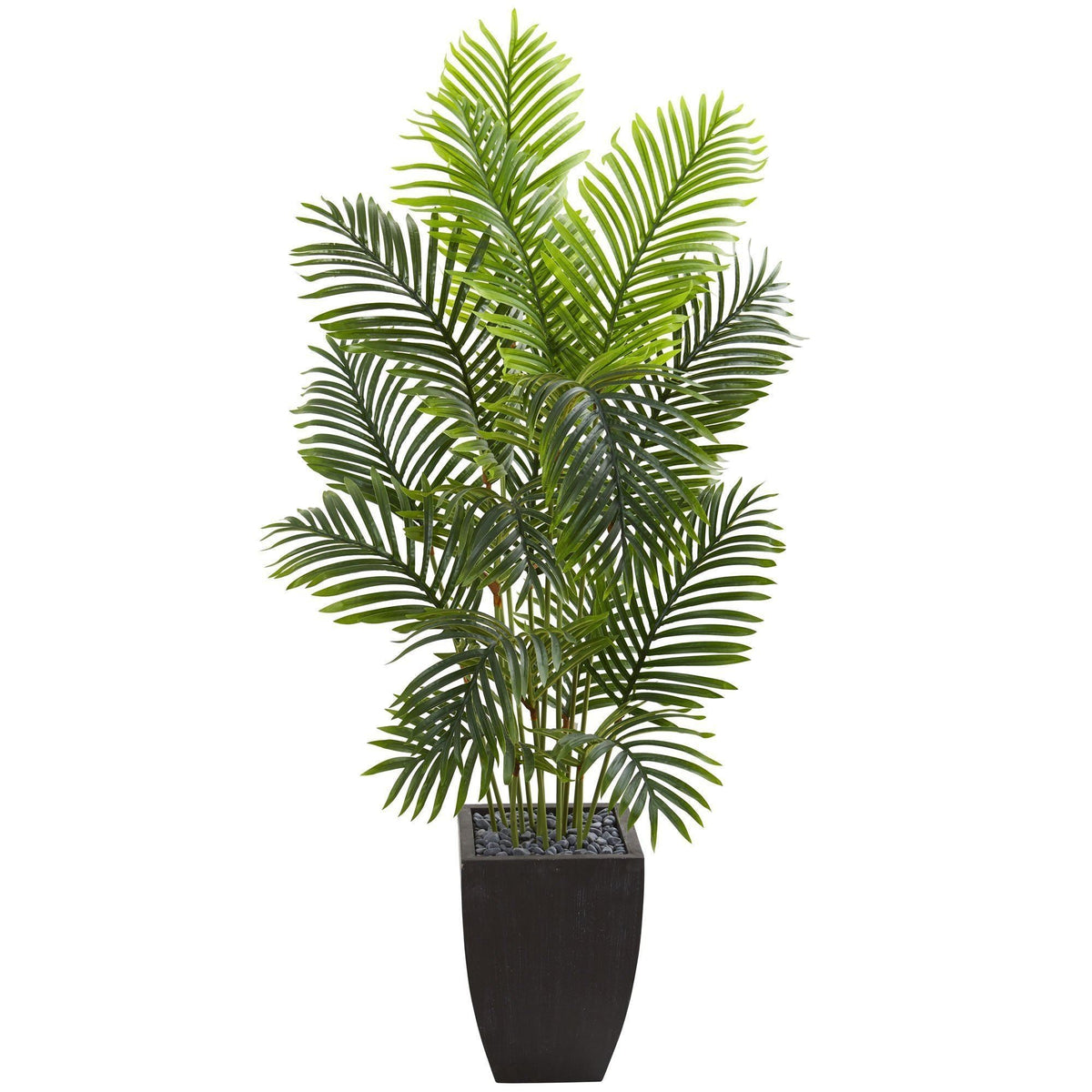 5.5’ Paradise Palm Artificial Tree in Square Planter, photo 3 of 3
