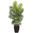5.5’ Paradise Palm Artificial Tree in Square Planter