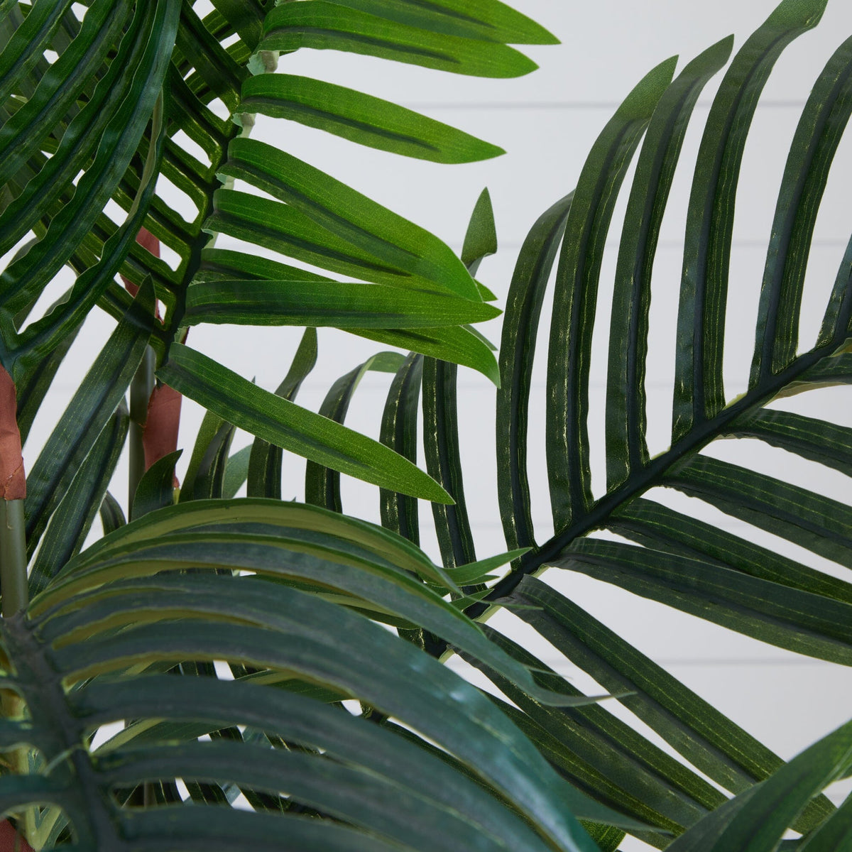 5.5’ Paradise Palm Artificial Tree in Square Planter, photo 2 of 3