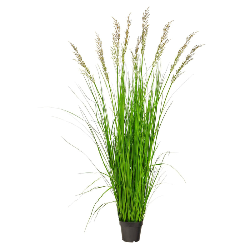 5.5’ Artificial Plum Grass Plant