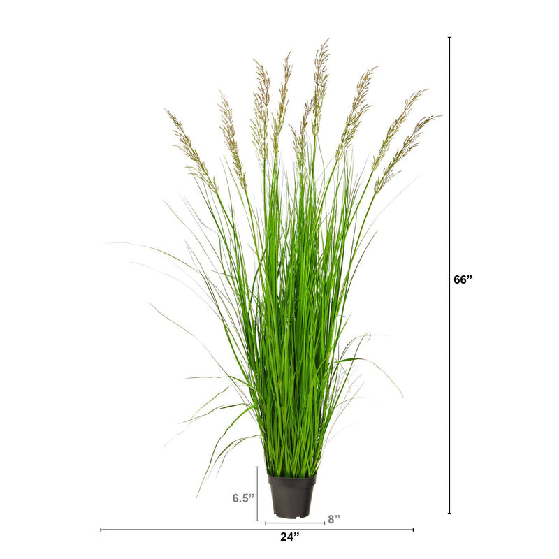 5.5’ Artificial Plum Grass Plant, photo 2 of 3