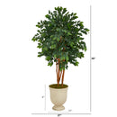 55” Sakaki Artificial Tree in Decorative Urn