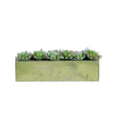 5.5” Succulent Garden w/Textured Concrete Planter by Nearly Natural