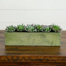 5.5” Succulent Garden w/Textured Concrete Planter by Nearly Natural