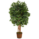 5.5’ Super Deluxe Ficus Artificial Tree in Wicker Planter