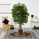 5.5’ Super Deluxe Ficus Artificial Tree in Wicker Planter