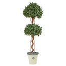 5.5’ Sweet Bay Double Ball Topiary Artificial Tree in Decorative Planter