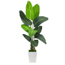 5.5’ Travelers Palm Artificial Tree in White Metal Planter