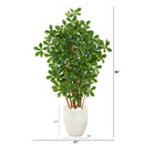 56” Black Olive Artificial Tree in White Planter