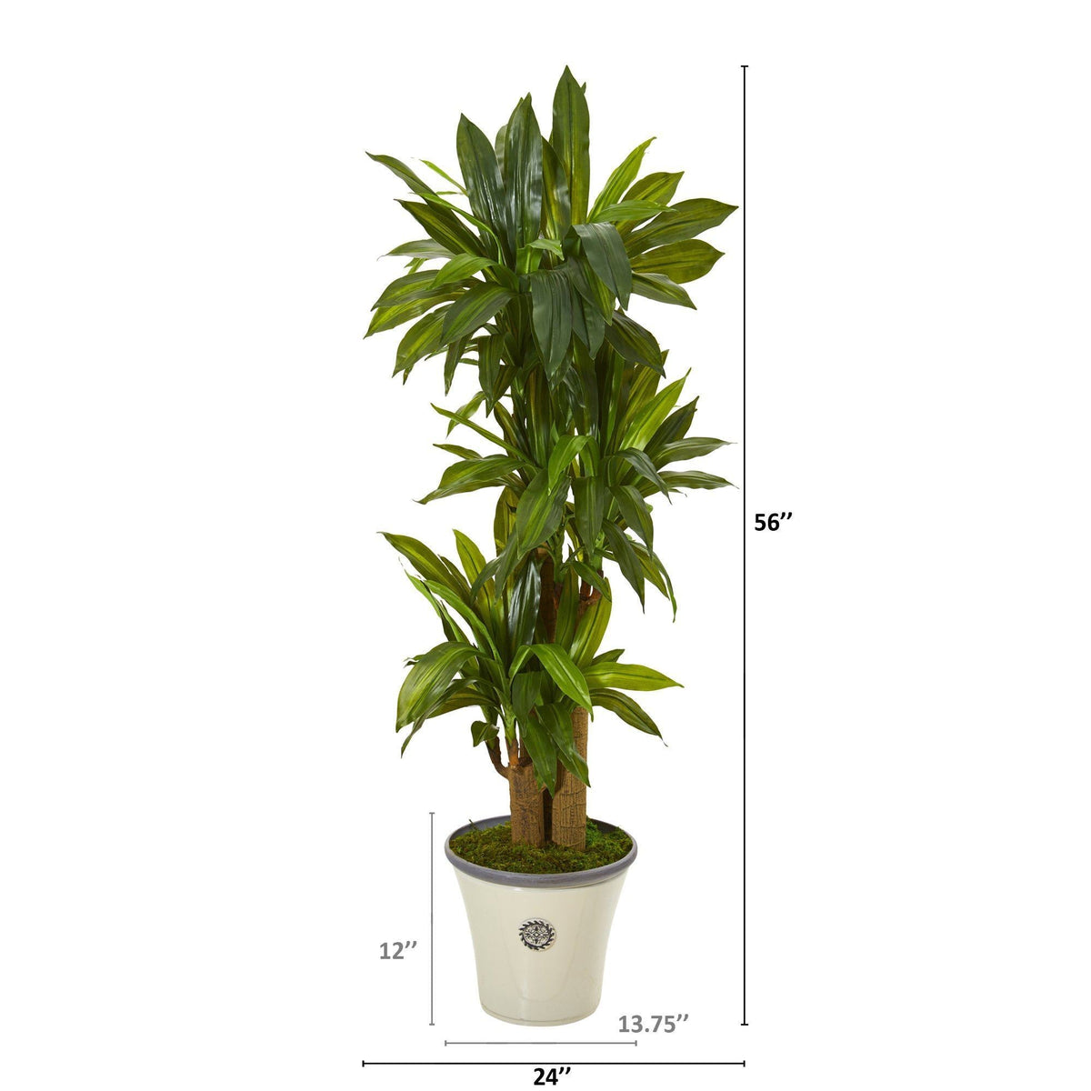 56” Corn Stalk Dracaena Artificial Plant in Planter (Real Touch), photo 2 of 2